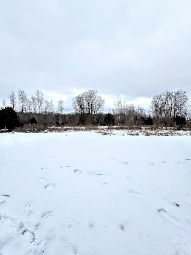 view of yard covered in snow