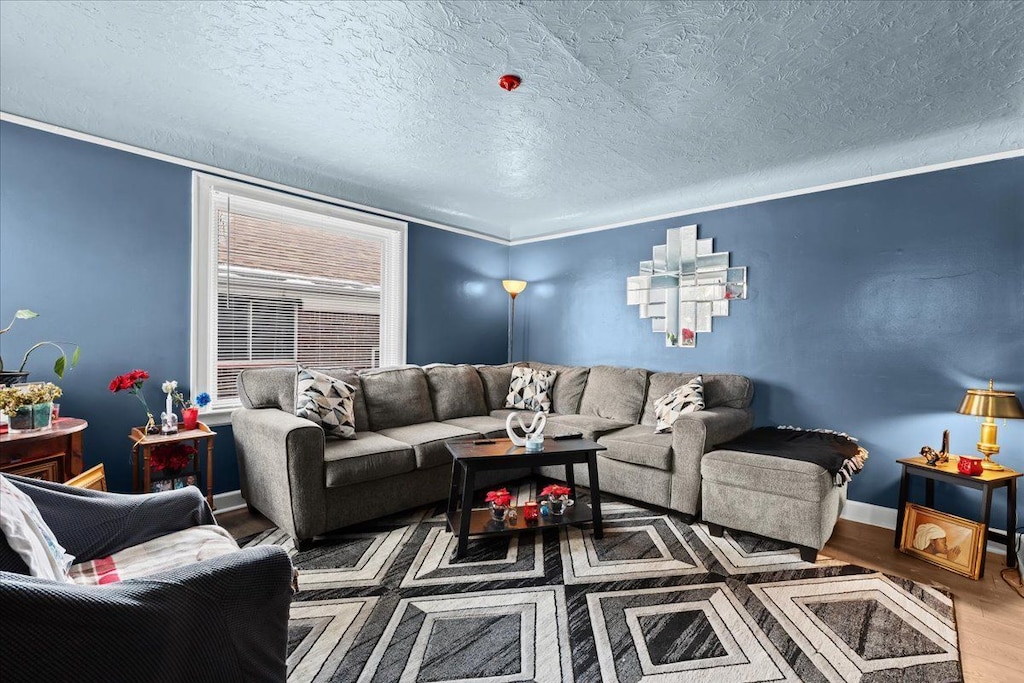 living room with a textured ceiling, crown molding, wood finished floors, and baseboards