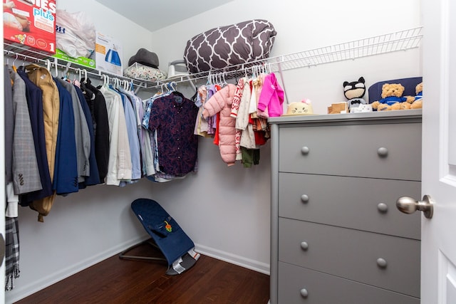 spacious closet with wood finished floors