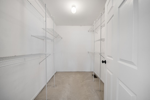 walk in closet featuring carpet