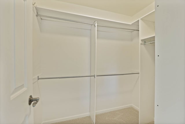 spacious closet with carpet flooring