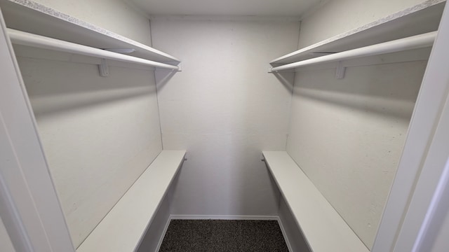 walk in closet with carpet