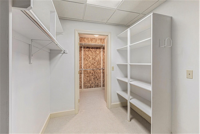 spacious closet featuring light carpet and a drop ceiling