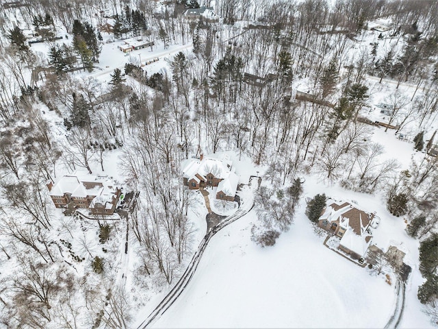 view of snowy aerial view