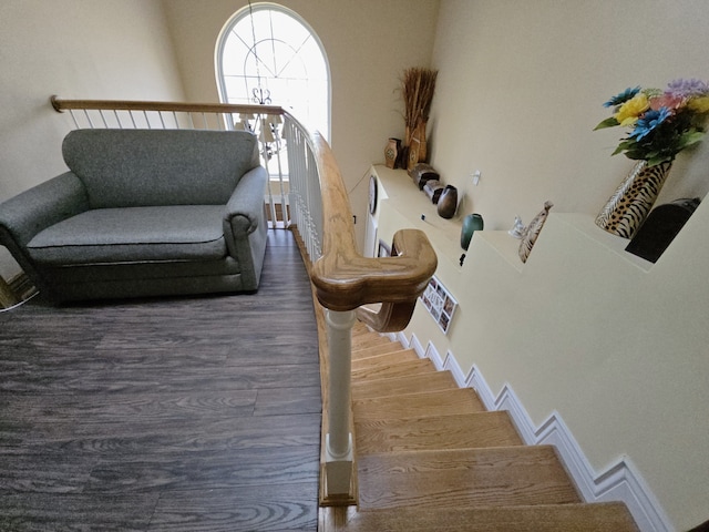 sitting room with dark wood-type flooring