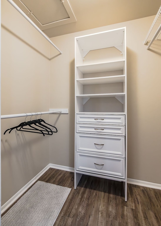 walk in closet featuring dark wood-type flooring