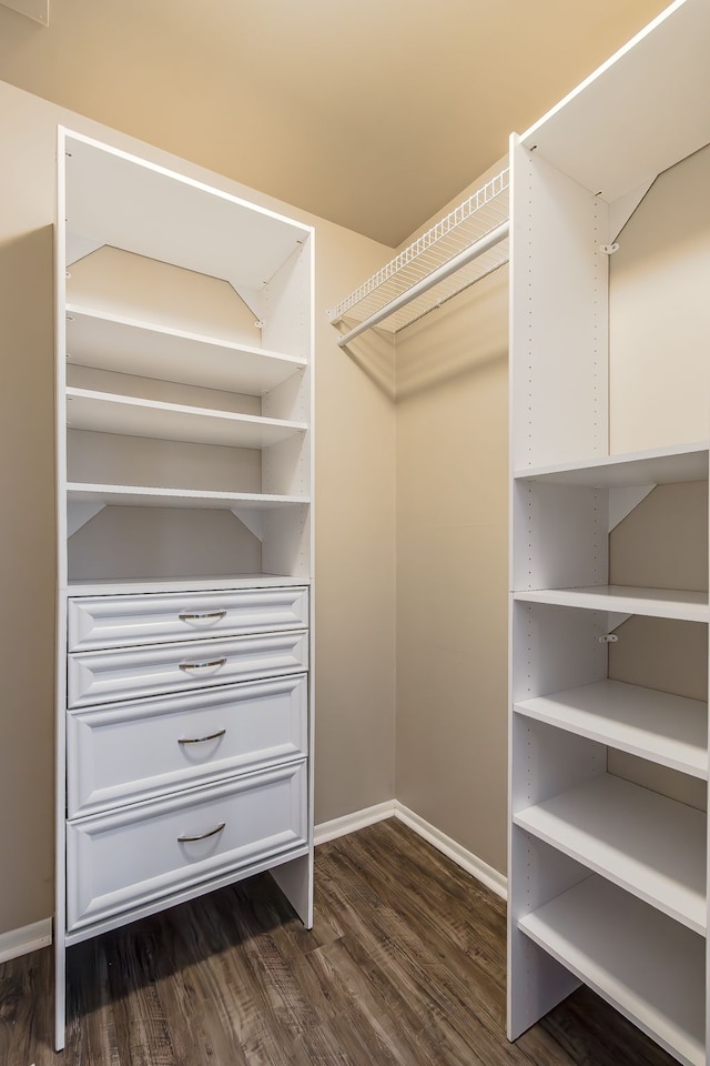 spacious closet featuring dark wood-style flooring