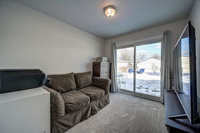 living area with carpet floors