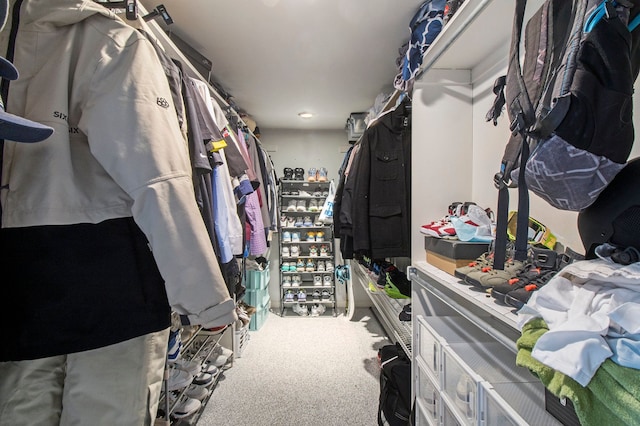 2839 Davista Dr, Highland, MI 48356 - walk in closet featuring carpet floors
