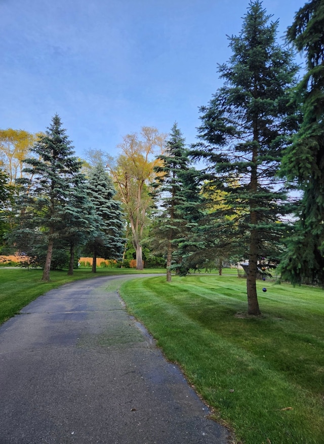 2839 Davista Dr, Highland, MI 48356 - view of street