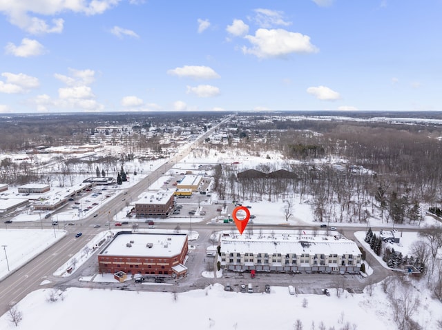 view of snowy aerial view