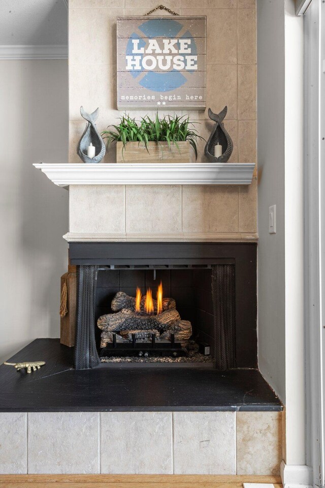 details with a fireplace and crown molding