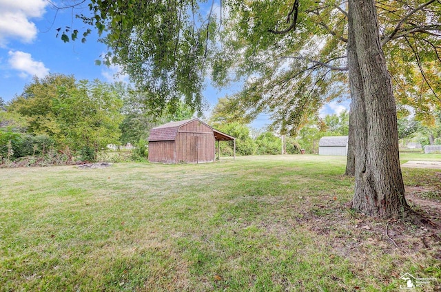 view of yard with an outbuilding and a storage unit