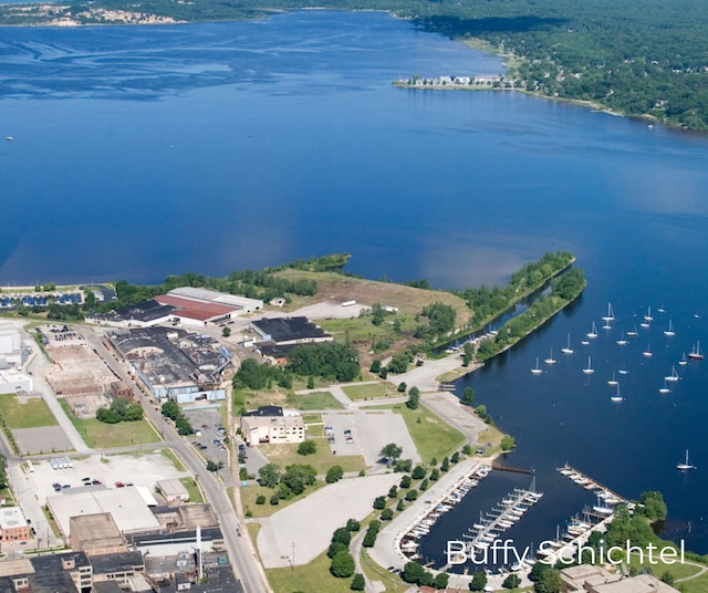 aerial view with a water view