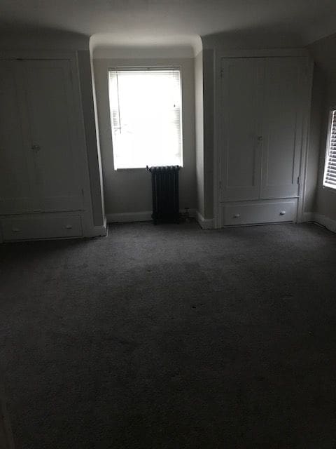 spare room with a wealth of natural light, carpet, radiator, and baseboards