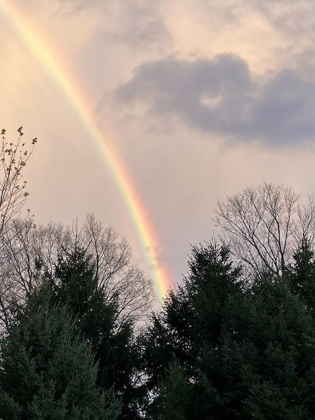 view of nature at dusk