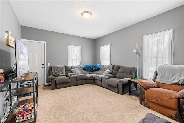 view of carpeted living area