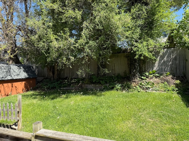 view of yard