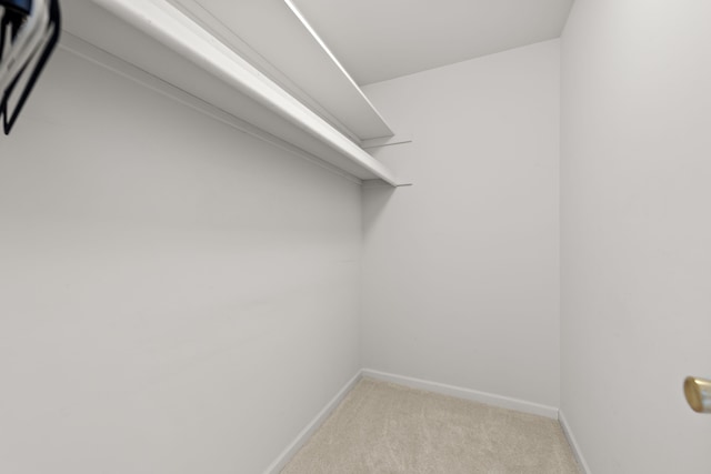 walk in closet featuring light colored carpet