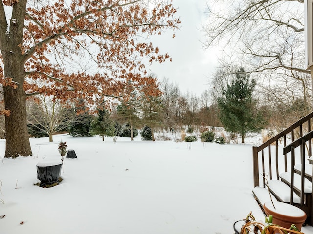 view of snowy yard