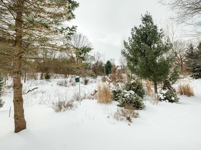 view of snowy yard