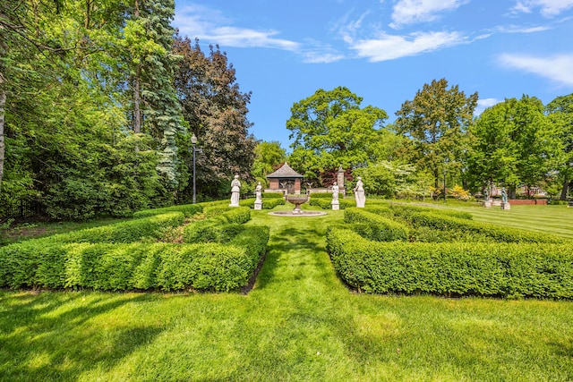 1771 Balmoral Dr, Detroit, MI 48203 - view of yard