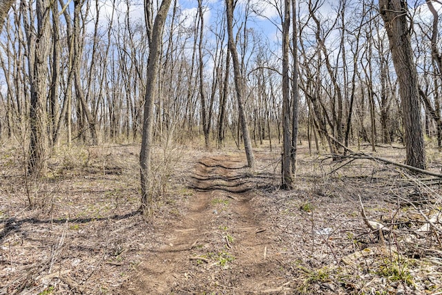 229 S Sutton Rd, Jackson, MI 49203 - view of nature
