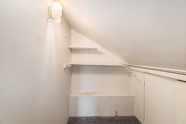 walk in closet featuring lofted ceiling and carpet