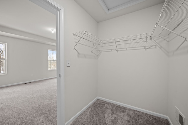 walk in closet featuring carpet floors and visible vents