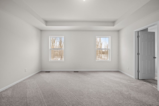 empty room with light carpet, a tray ceiling, and a wealth of natural light