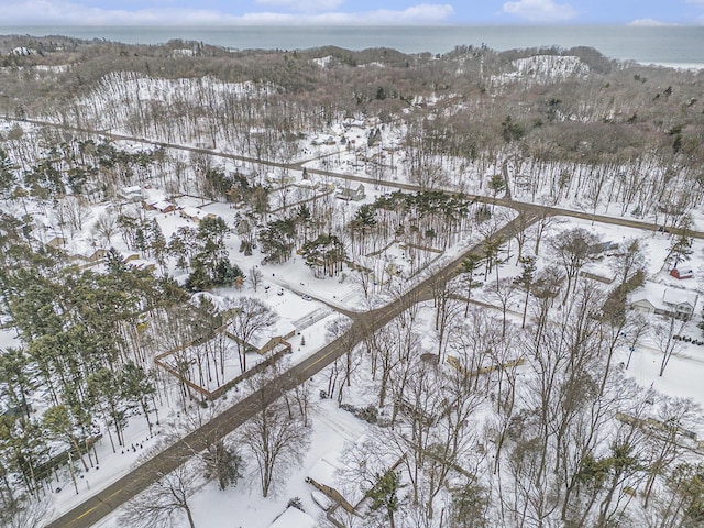 snowy aerial view featuring a water view