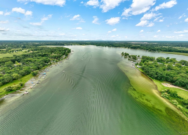 bird's eye view featuring a water view and a view of trees