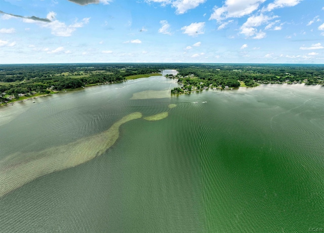 aerial view featuring a water view and a wooded view