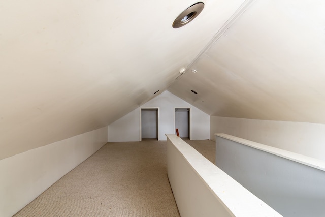 bonus room with vaulted ceiling and light colored carpet