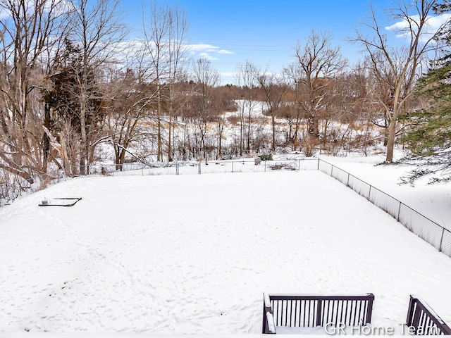 view of yard covered in snow