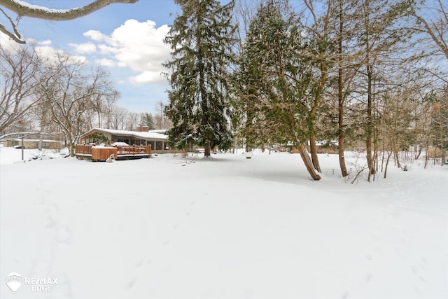 view of snowy yard