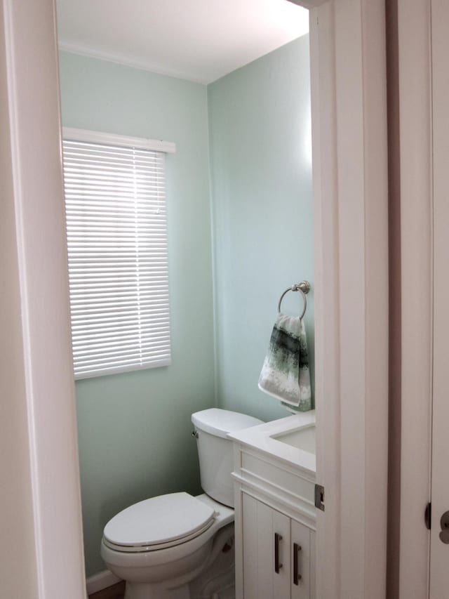 bathroom with toilet and vanity