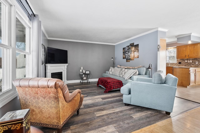 living room featuring ornamental molding, dark wood finished floors, a fireplace, and baseboards