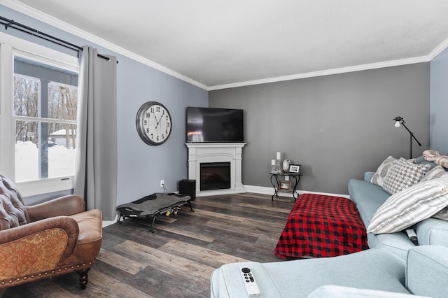 living area featuring dark wood-style floors, ornamental molding, a fireplace, and a healthy amount of sunlight