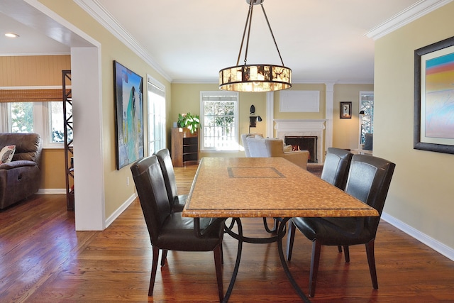 dining room with a healthy amount of sunlight, a warm lit fireplace, ornamental molding, and dark wood finished floors