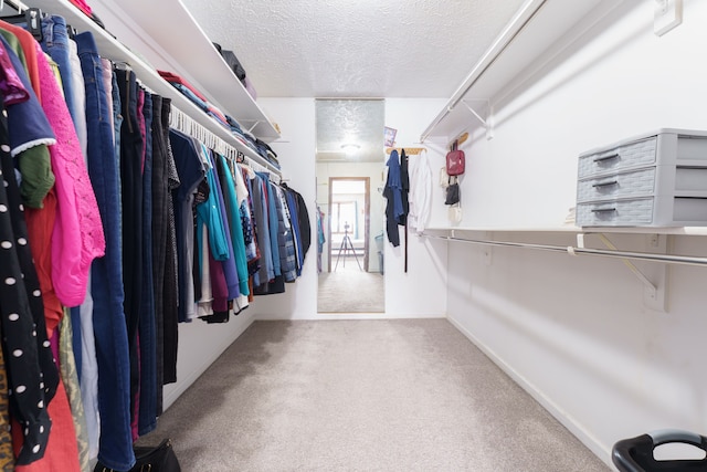 spacious closet featuring carpet flooring