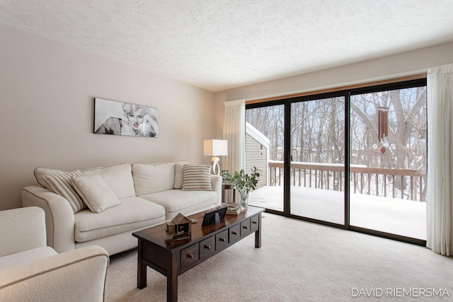 living area featuring a textured ceiling, light colored carpet, and a healthy amount of sunlight