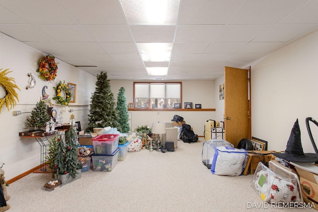 basement with baseboards, carpet flooring, and a drop ceiling