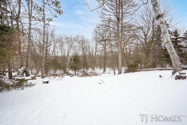 view of yard covered in snow