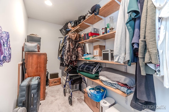 walk in closet with light carpet