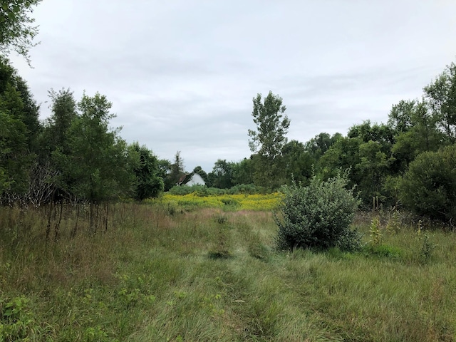 view of landscape