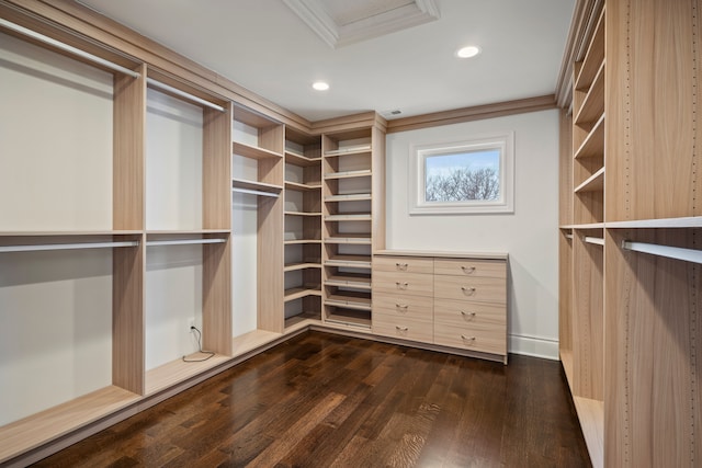 walk in closet with dark wood finished floors