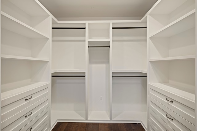 spacious closet with dark wood-style flooring