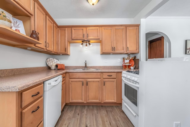 kitchen with white appliances, light countertops, light wood-type flooring, open shelves, and a sink