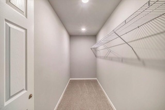 spacious closet with carpet floors